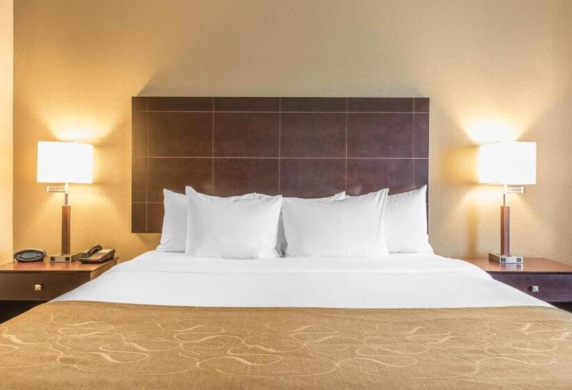 سوئیت با تخت بزرگ, Comfort Suites North