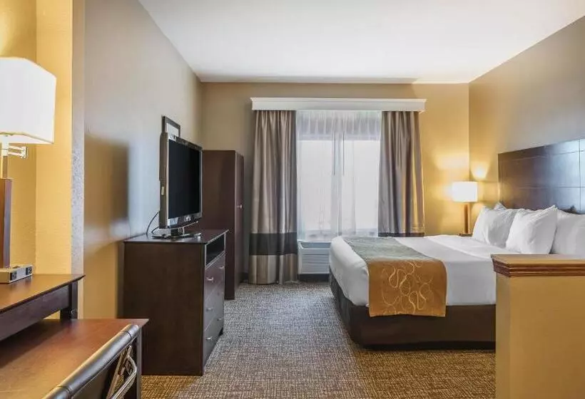 キングサイズベッドのスイートルーム, Comfort Suites North
