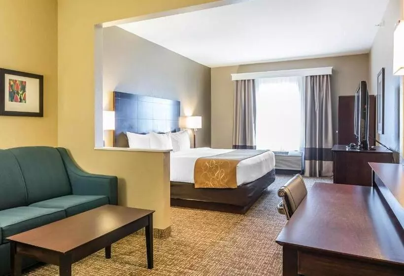 キングサイズベッドのスイートルーム, Comfort Suites North