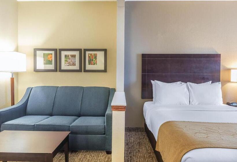سوئیت با تخت بزرگ, Comfort Suites North