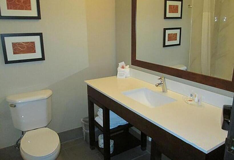 سوئیت با تخت بزرگ, Comfort Suites North