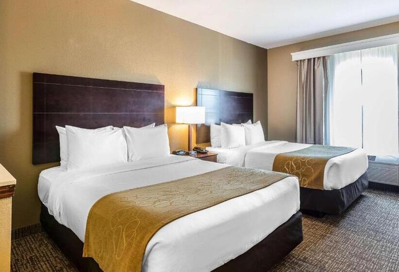 Люкс, Comfort Suites North