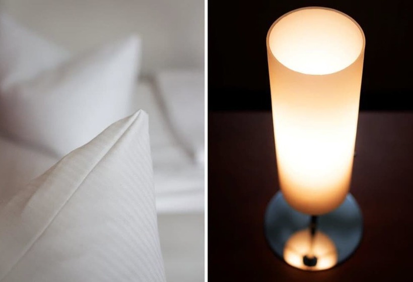 اتاق استاندارد یک نفره, Eckstein