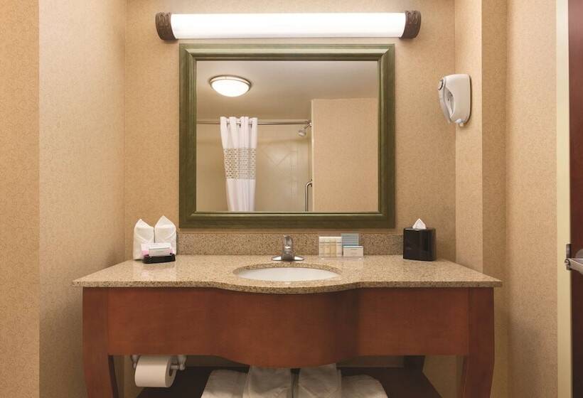 غرفة قياسية لذوى الاحتياجات الخاصة, Hampton Inn & Suites Greenfield