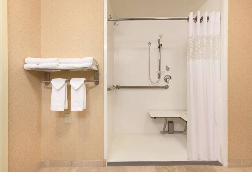 غرفة قياسية لذوى الاحتياجات الخاصة, Hampton Inn & Suites Greenfield