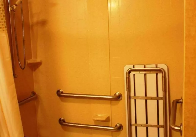 キングサイズベッドのスタンダードルーム, Hampton Inn Dallasrockwall