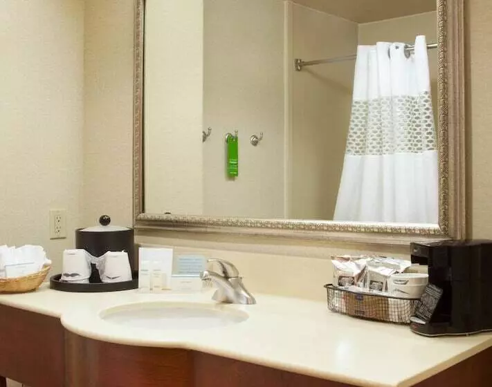 اتاق استاندارد, Hampton Inn & Suites Brownsville