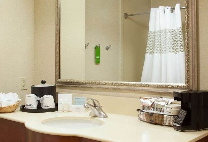غرفة قياسية, Hampton Inn & Suites Brownsville