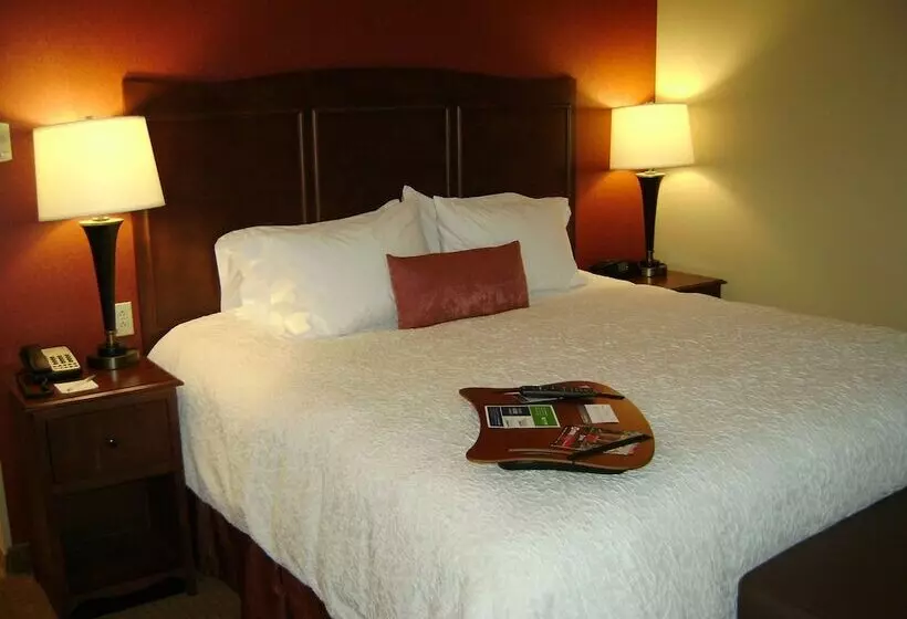 スタンダードルーム, Hampton Inn & Suites St. Louis/south I55
