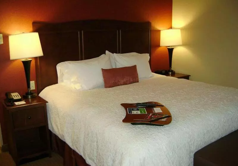 キングサイズベッドのスタンダードルーム, Hampton Inn & Suites St. Louis/south I55