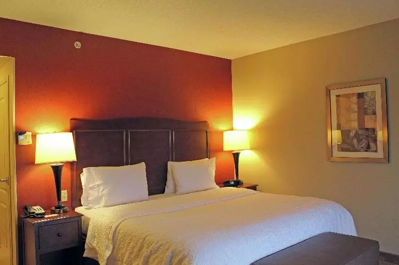 キングサイズベッドのスタンダードルーム, Hampton Inn & Suites St. Louis/south I55