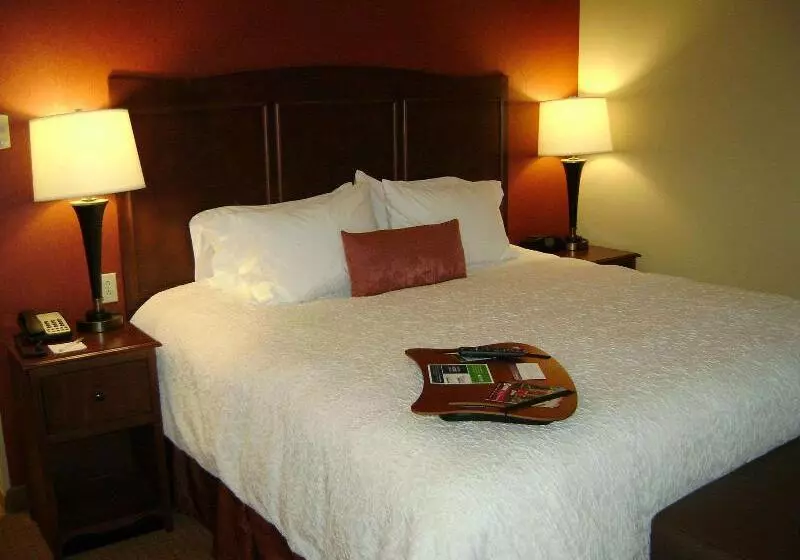 キングサイズベッドのスタンダードルーム, Hampton Inn & Suites St. Louis/south I55