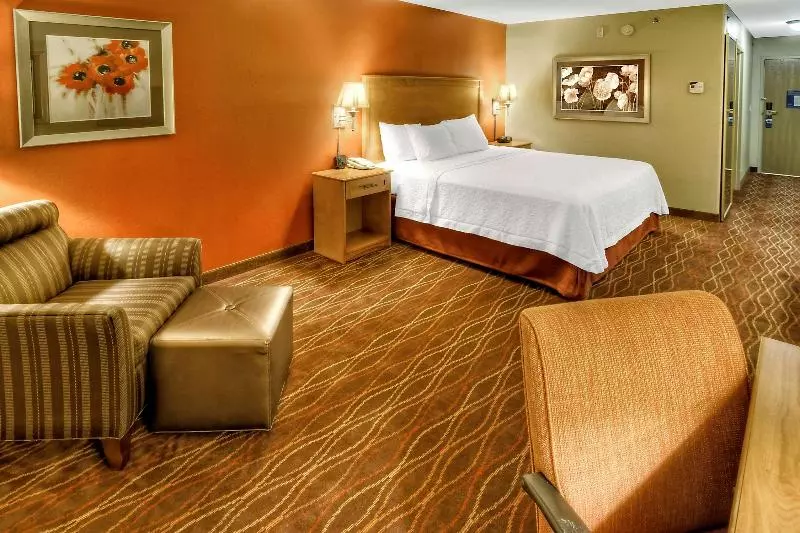 اتاق استاندارد با تخت بزرگ, Hampton Inn Twin Falls Id