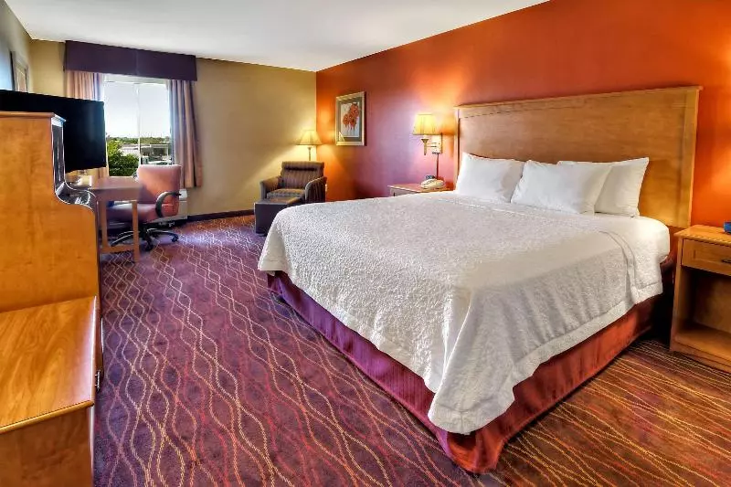 اتاق استاندارد با تخت بزرگ, Hampton Inn Twin Falls Id