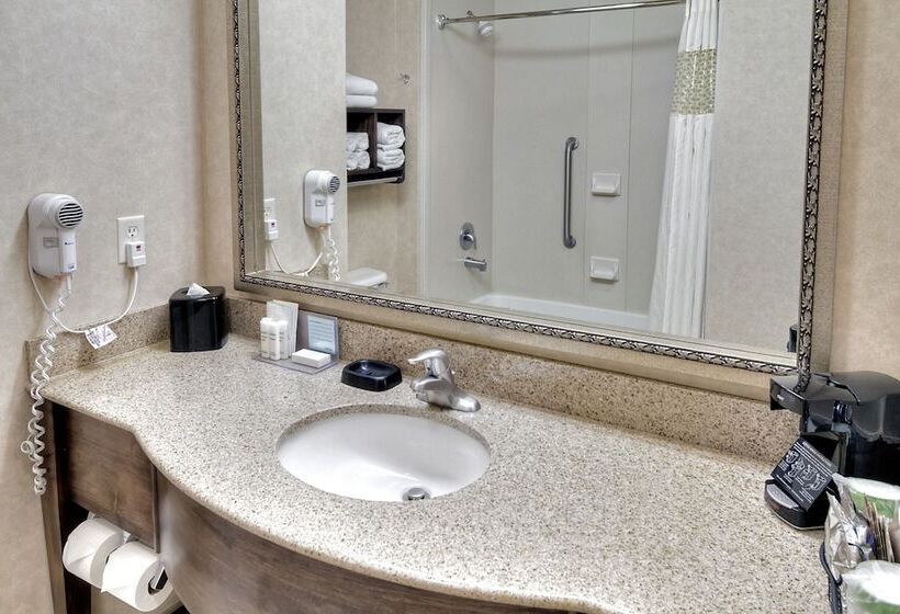 Номер Стандарт, Hampton Inn Twin Falls Id
