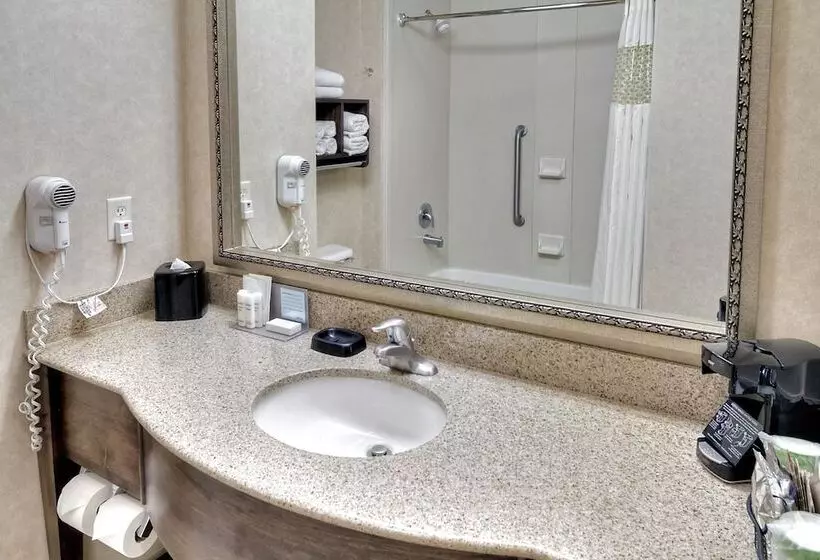 اتاق استاندارد, Hampton Inn Twin Falls Id