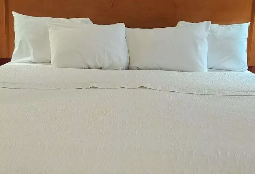 اتاق استاندارد, Hampton Inn Twin Falls Id