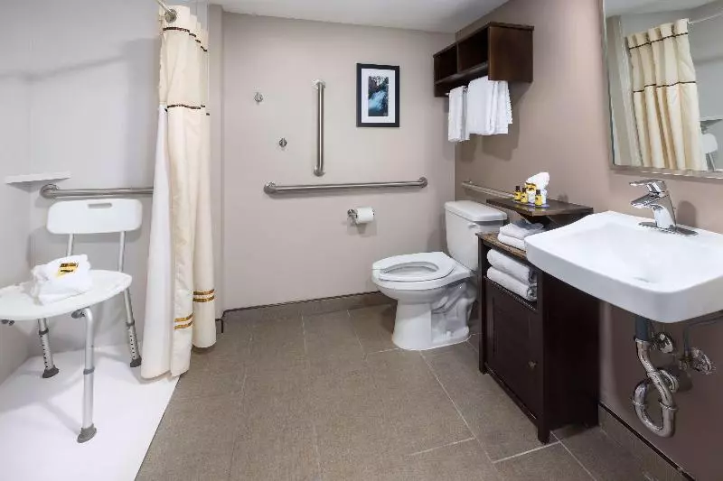 اتاق استاندارد با تخت بزرگ برای معلولان, Hampton Inn Twin Falls Id