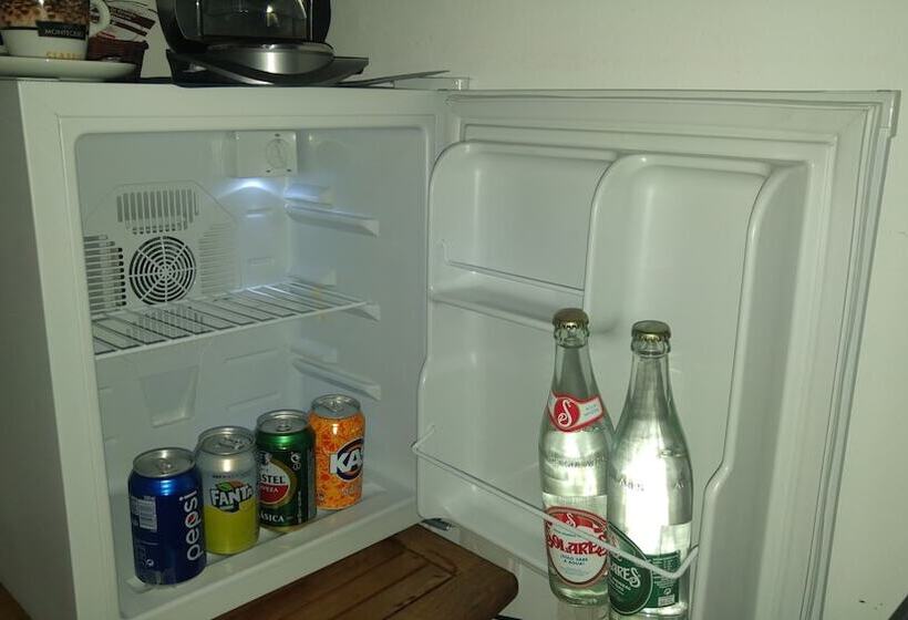 高级园景房, Hospederia V Centenario