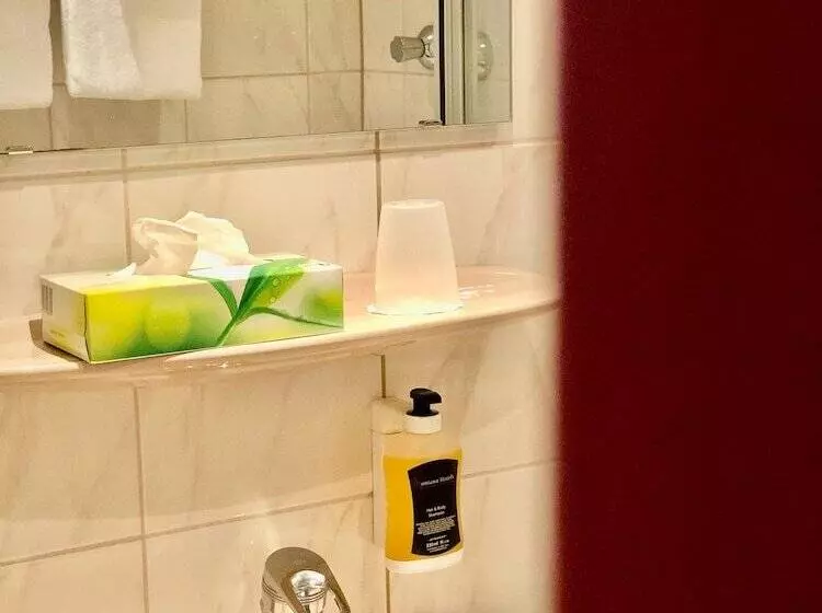 コンフォートルーム, Montana Hotel Köln Bonn Airport
