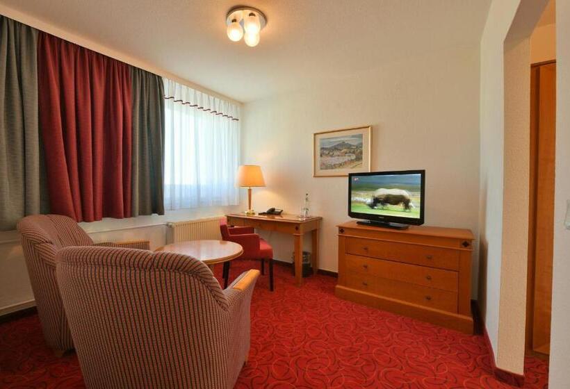 Номер Стандарт, Skyhotel Merseburg