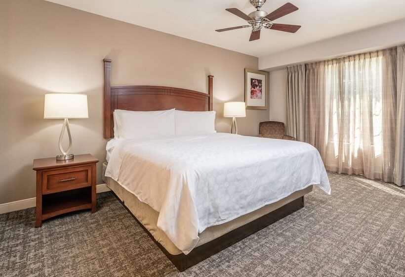 Люкс, Staybridge Suites North Charleston, An Ihg