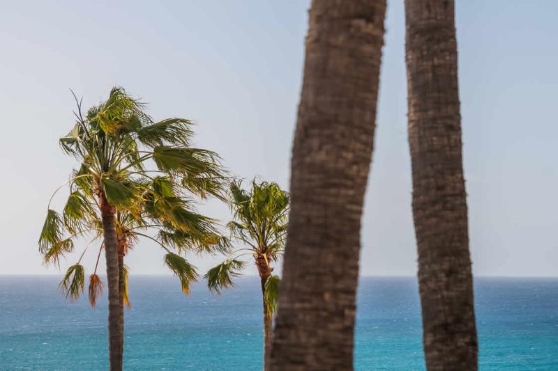 ２ベッドルームアパートメント, Bahia Calma Beach