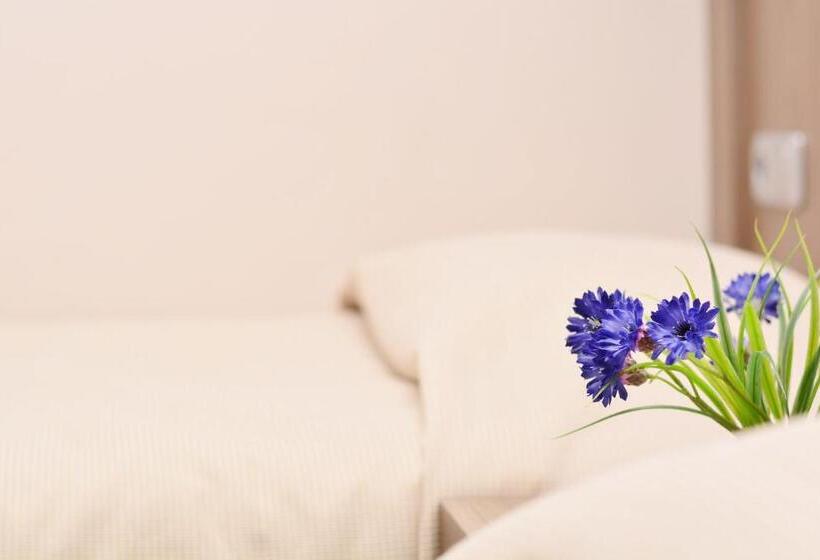 Chambre Quadruple Standard, Grėjaus Namas