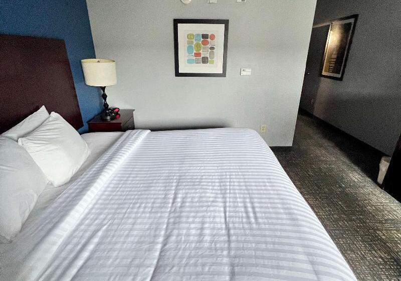 Номер Стандарт Кровать Кинг Адаптированный для Инвалидов, Best Western Plus Glen Allen Inn