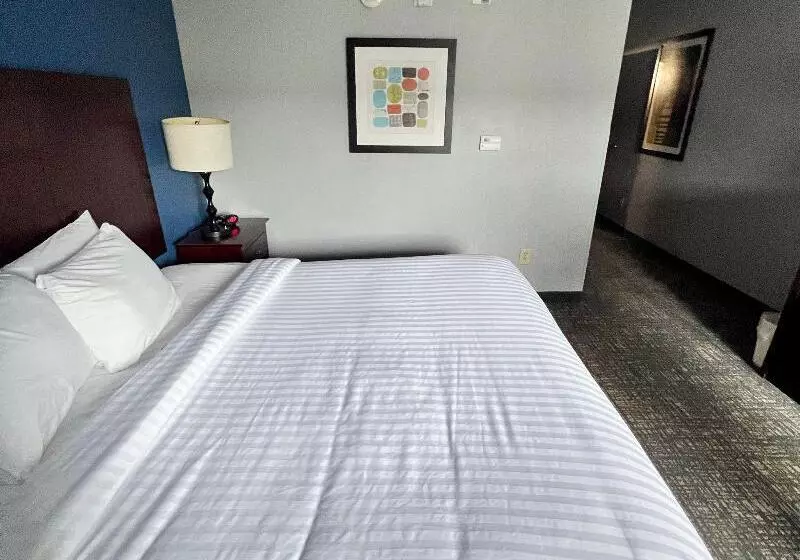 身障者適用キングサイズベッドルーム, Best Western Plus Glen Allen Inn