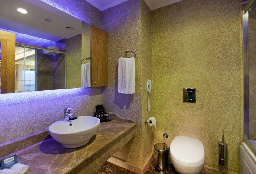 Номер Стандарт Внутренний, Granada Luxury Okurcalar