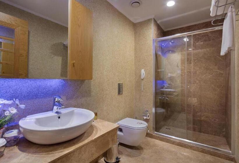 Номер Стандарт Внутренний, Granada Luxury Okurcalar