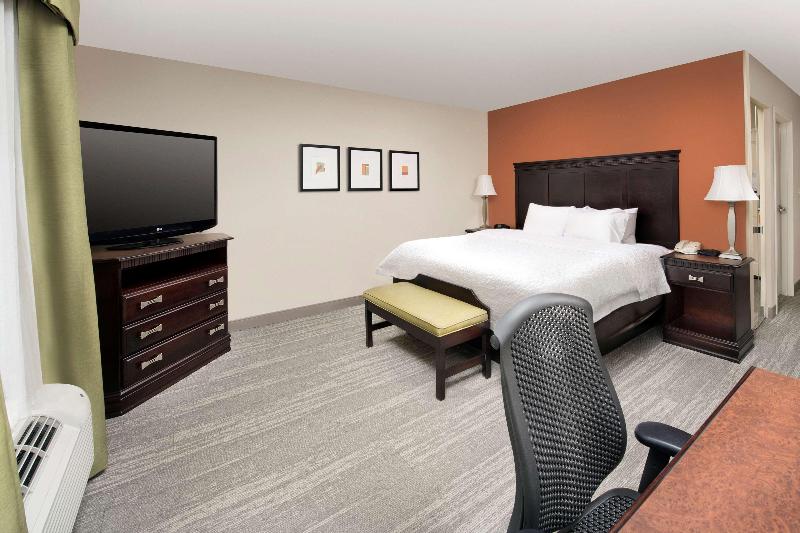 غرفة قياسية سرير كينج, Hampton Inn Lenoir City