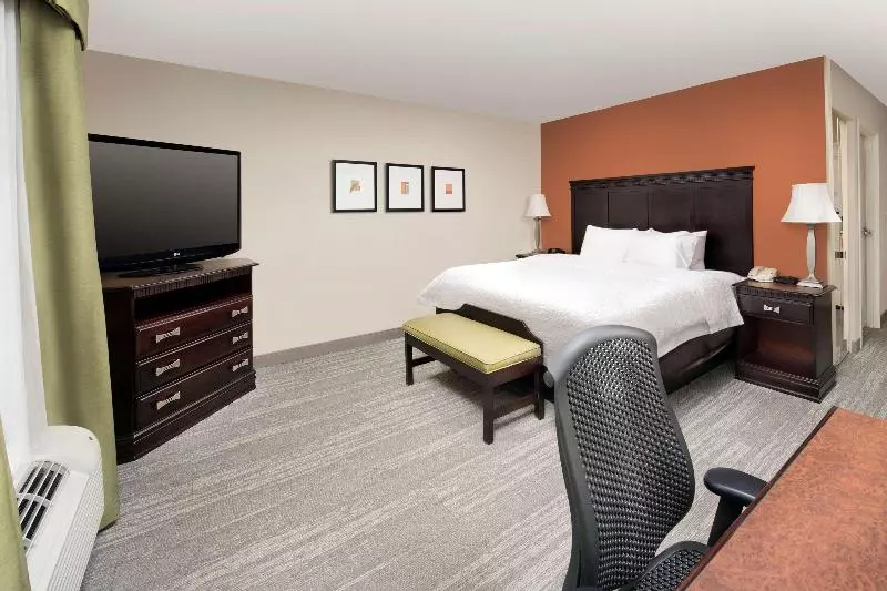 キングサイズベッドのスタンダードルーム, Hampton Inn Lenoir City