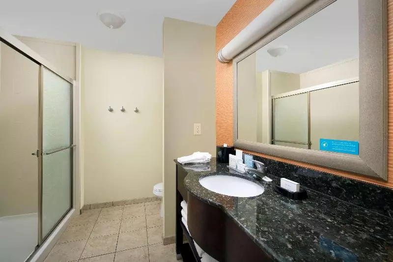 キングサイズベッドのスタンダードルーム, Hampton Inn Lenoir City
