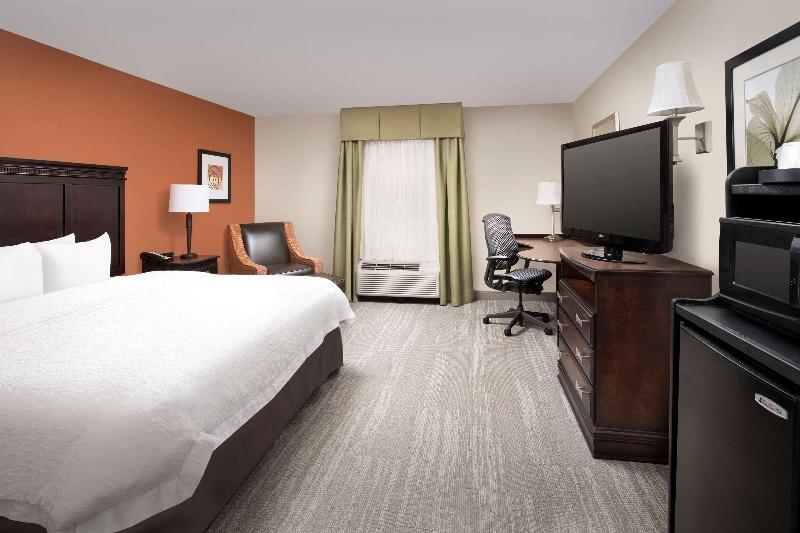 غرفة قياسية سرير كينج, Hampton Inn Lenoir City