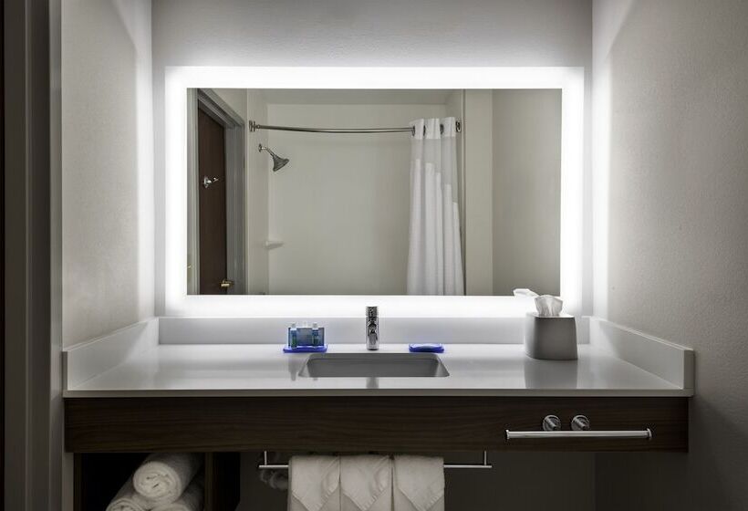 Люкс, Holiday Inn Express & Suites Charlotte Arpt Belmont, An Ihg