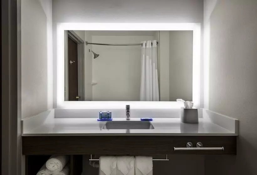 سوییت, Holiday Inn Express & Suites Charlotte Arpt Belmont, An Ihg
