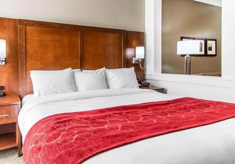 Standard-huone, Holiday Inn Express & Suites Waxahachie, An Ihg