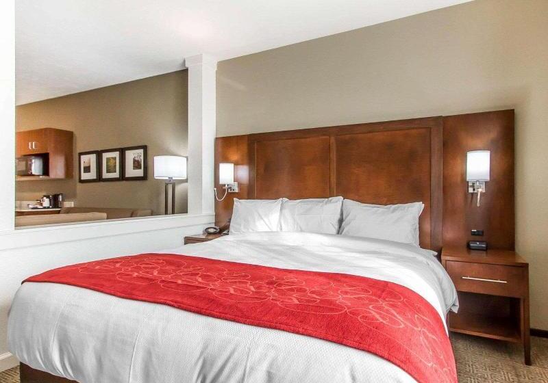 Номер Стандарт, Holiday Inn Express & Suites Waxahachie, An Ihg