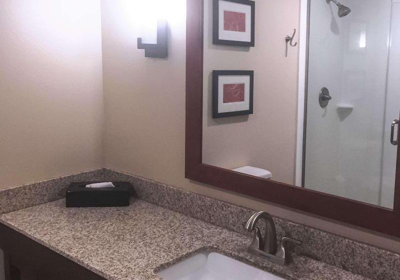 Номер Стандарт, Holiday Inn Express & Suites Waxahachie, An Ihg