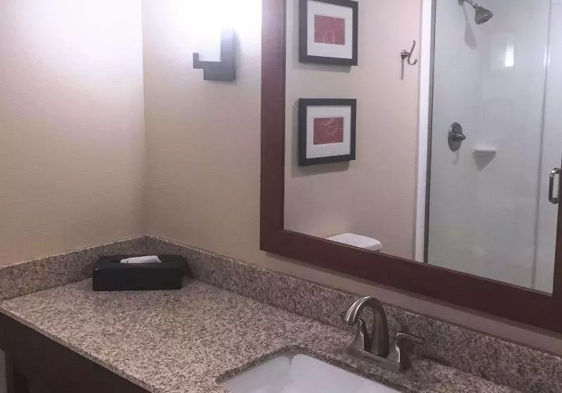 Standard-huone, Holiday Inn Express & Suites Waxahachie, An Ihg