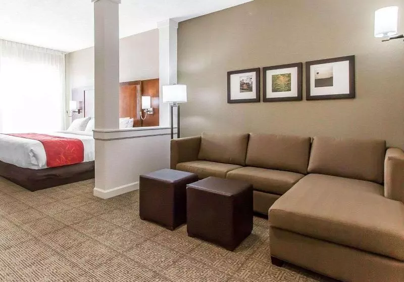 Standard-huone, Holiday Inn Express & Suites Waxahachie, An Ihg