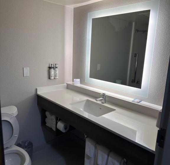 标准间, Holiday Inn Express Hotel And Suites Mesquite, An Ihg