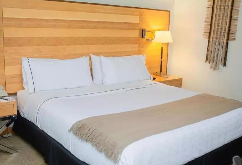 سوییت جونیور, Sonesta Hotel Osorno