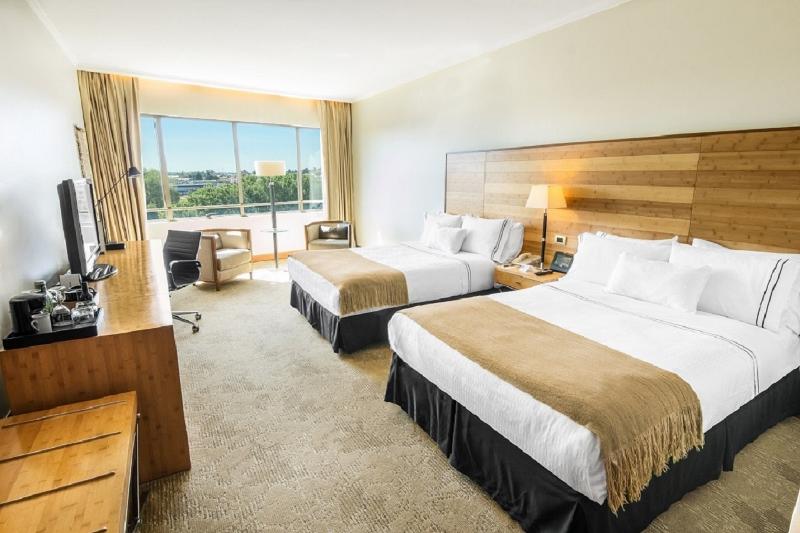 이그제큐티브 룸, Sonesta Hotel Osorno