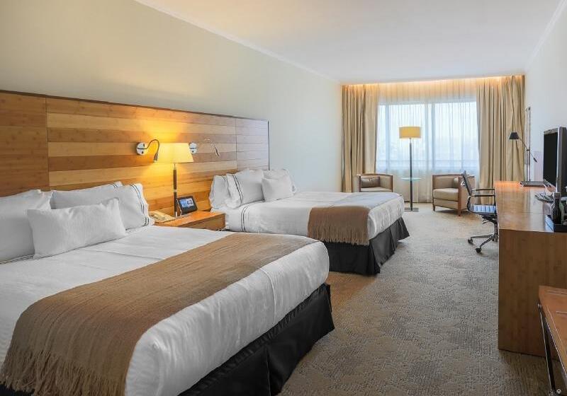 이그제큐티브 룸, Sonesta Hotel Osorno