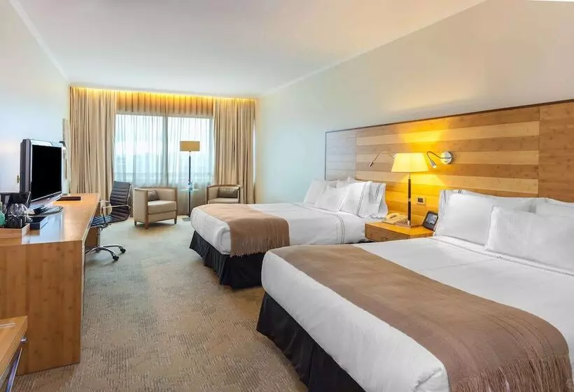 اتاق اجرایی, Sonesta Hotel Osorno