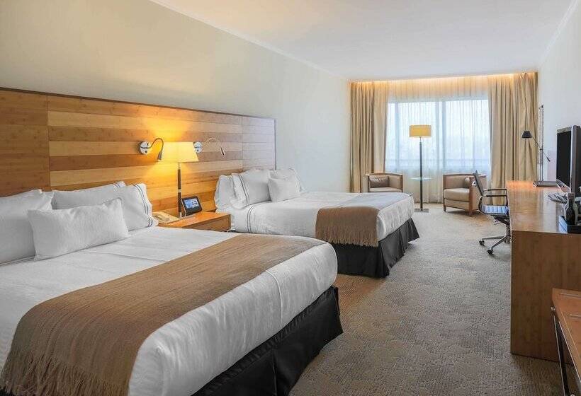 이그제큐티브 룸, Sonesta Hotel Osorno