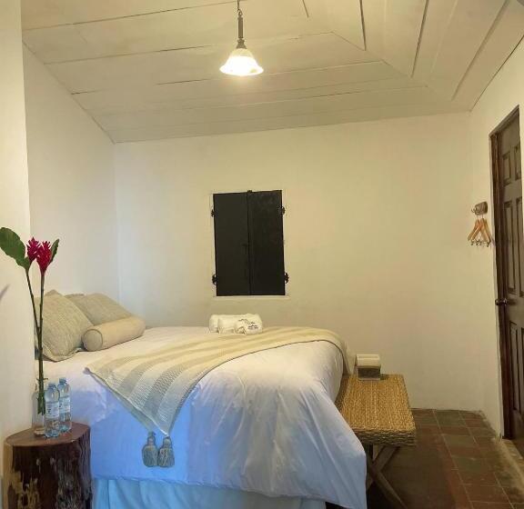 스탠다드 룸, Casa 1800 Los Naranjos Boutique